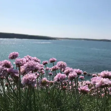 The Moorings - Just A Few Metres From The Sea! Holiday home *