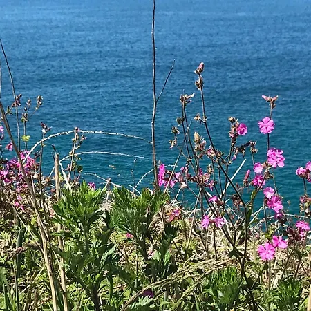 Holiday home The Moorings - Just A Few Metres From The Sea!